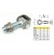 425020 - TOLKAPUV.IBFM LL.FORGSPONT  20 PERSELYES - 